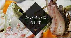 かいせいについて